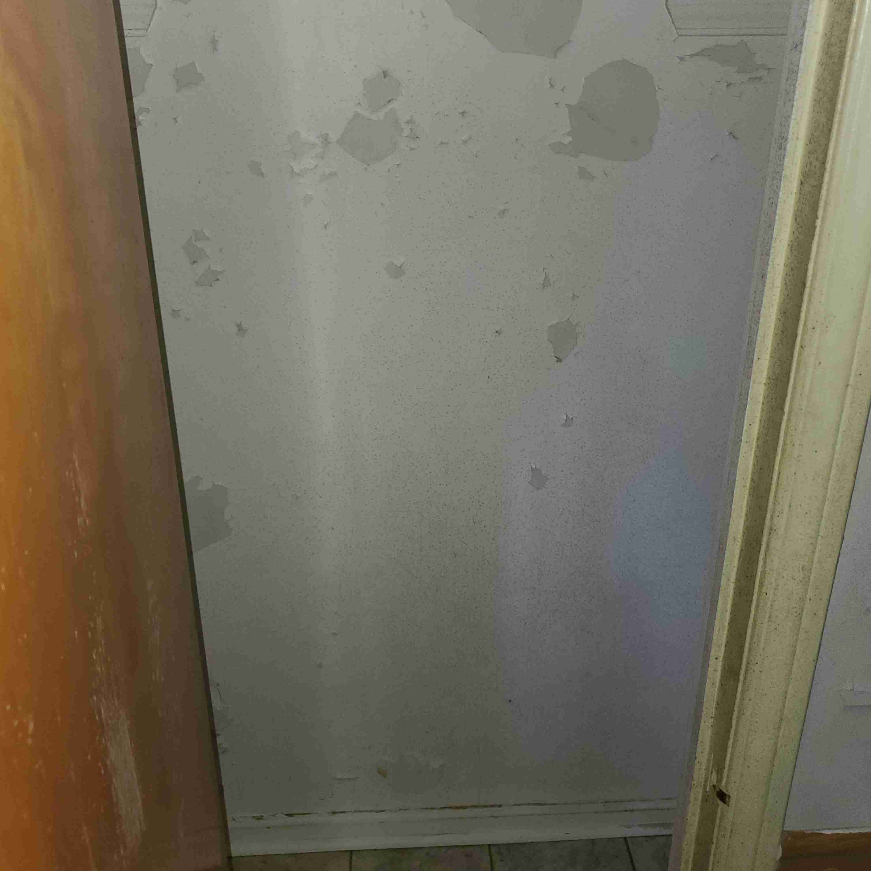 20200819_140350 (2).jpg